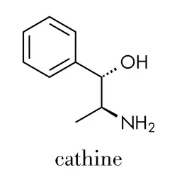 Synthetic Cathinone